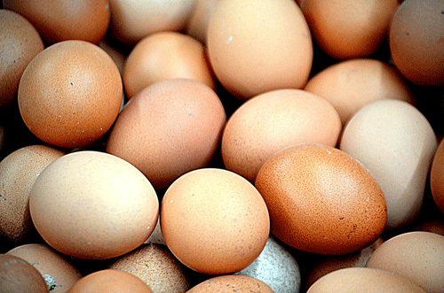 Dozens of white and brown eggs